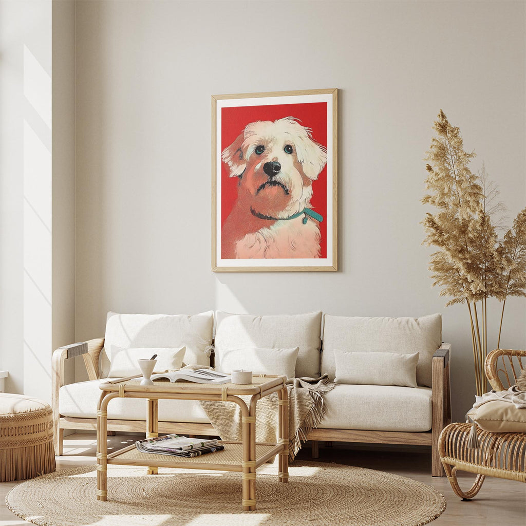 Coton de Tulear Red Dog Series image 2