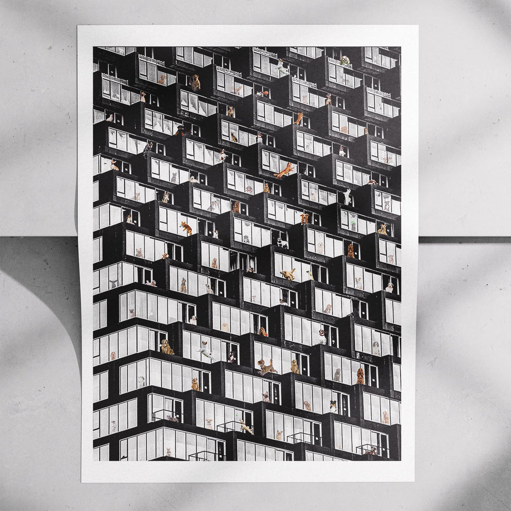 Where is Your Dog Urban NO TEXT image 4