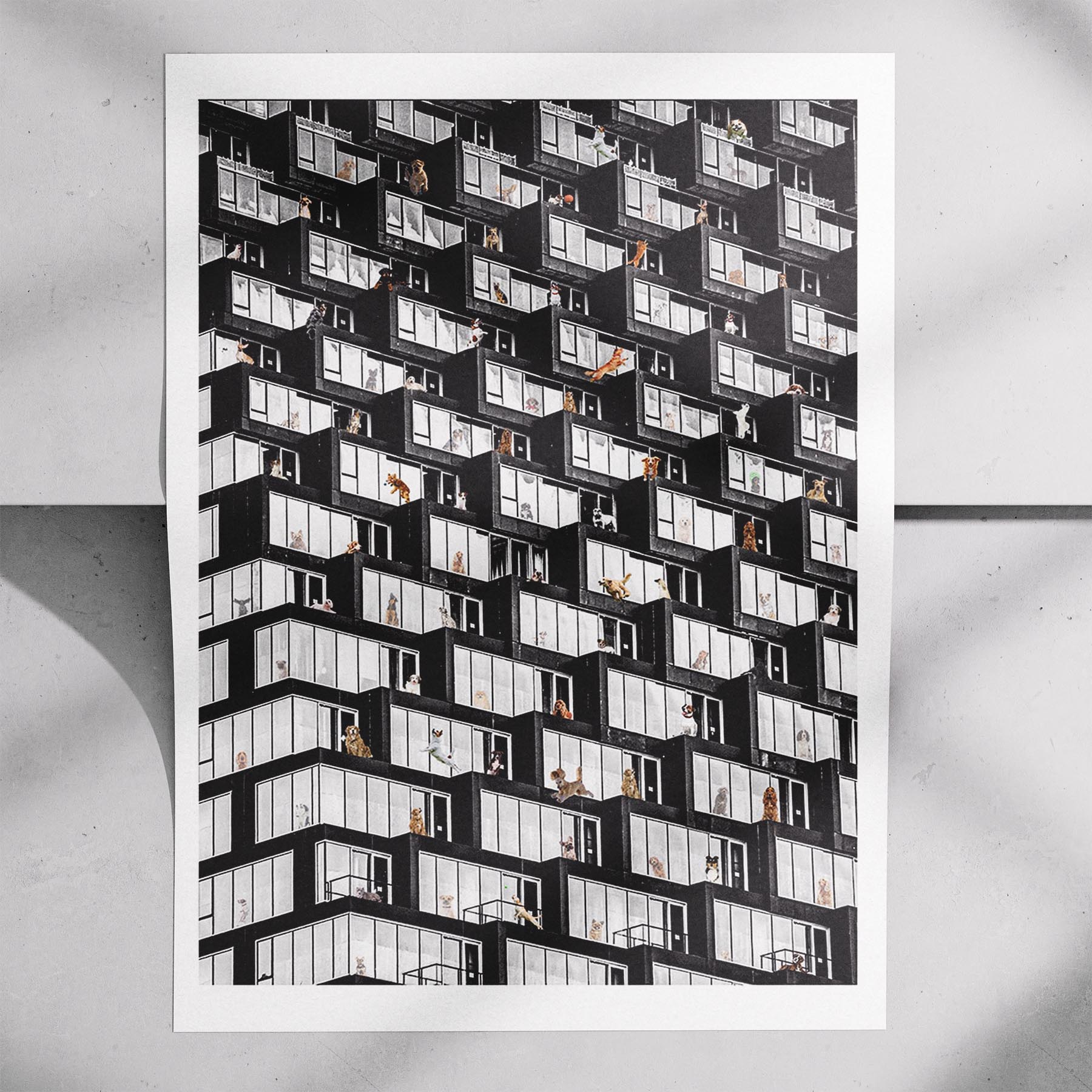 Where is Your Dog Urban NO TEXT image 4