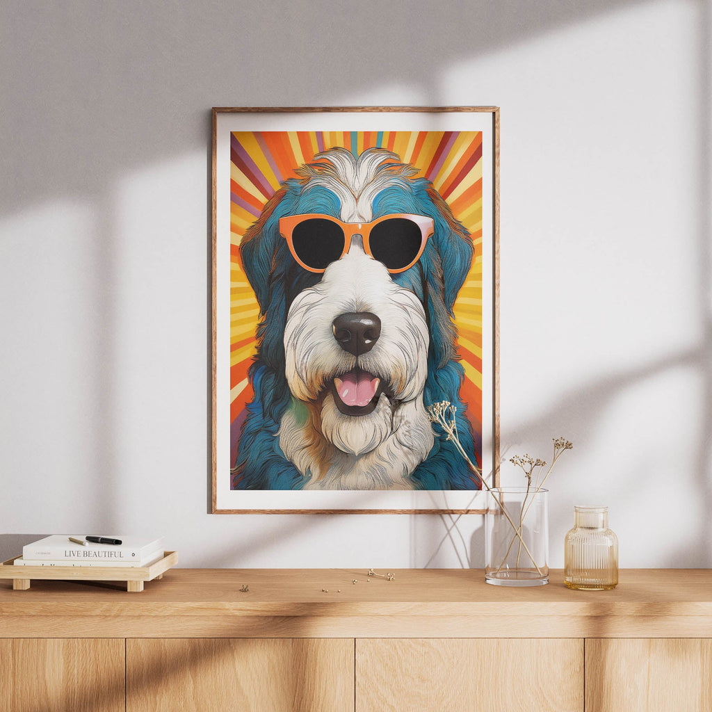 Old English Sheep Dog In Colourful Sunnies 13 image 8