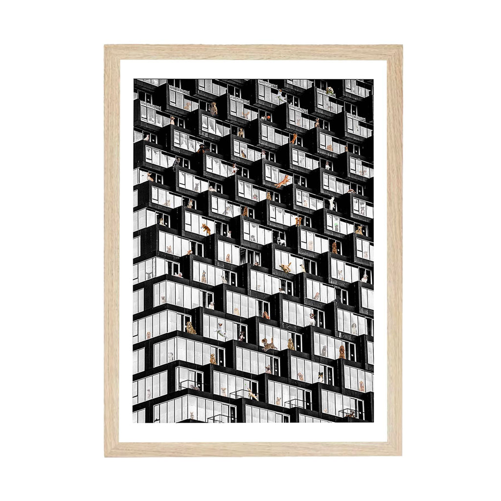 Where is Your Dog Urban NO TEXT image 2