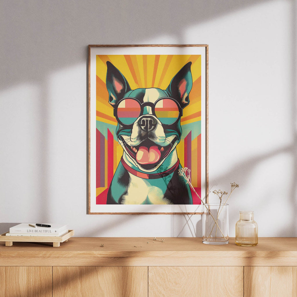 Boston Terrier In Colourful Sunnies 1 image 8