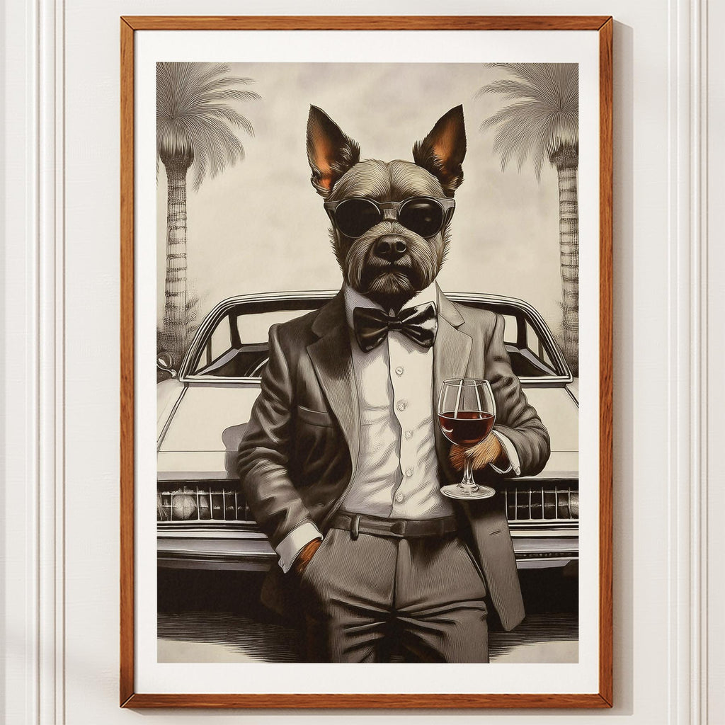 Australian Terrier The Distinguished Gentleman Dog Series image 10