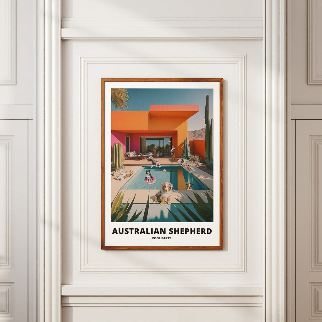 Australian Shepherd Pool Party image 2