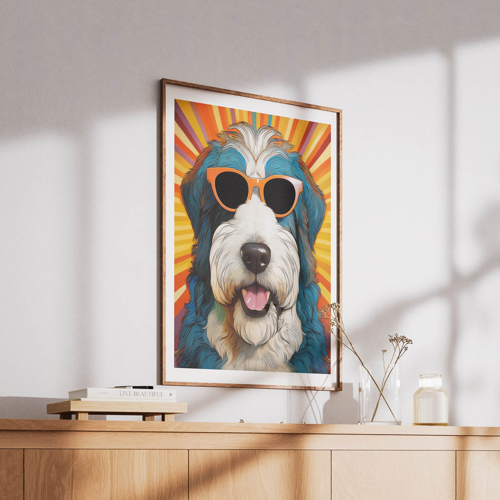 Old English Sheep Dog In Colourful Sunnies 13 image 6