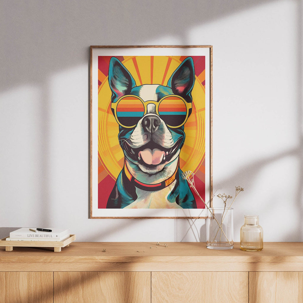 Boston Terrier In Colourful Sunnies 2 image 8