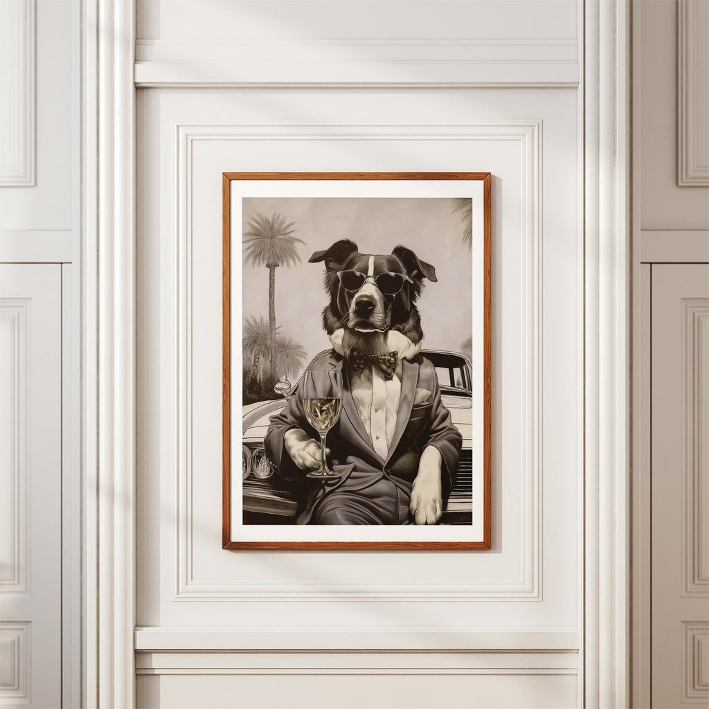 Border Collie The Distinguished Gentleman Dog Series image 3