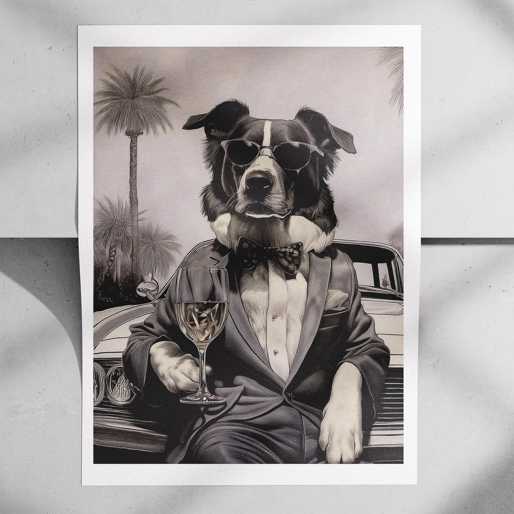 Border Collie The Distinguished Gentleman Dog Series image 7