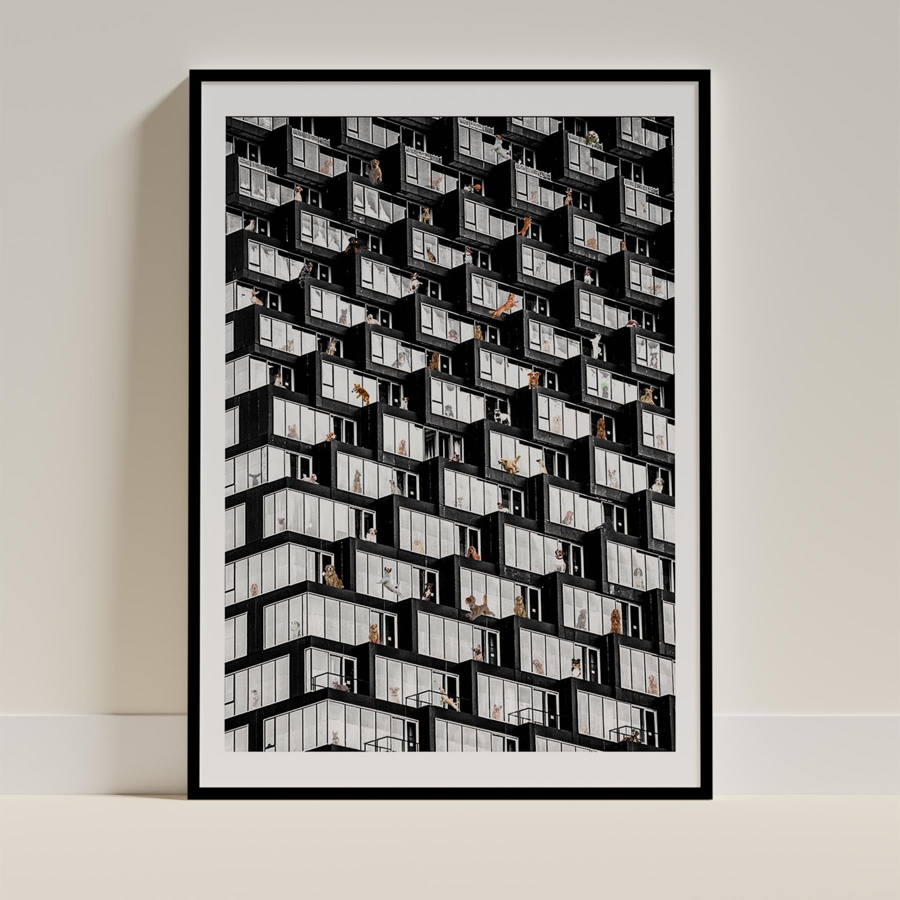 Where is Your Dog Urban NO TEXT image 0