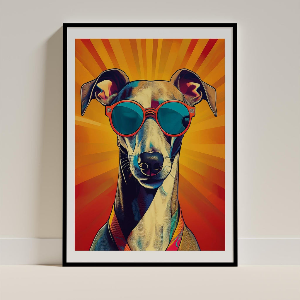 Grayhound In Colourful Sunnies 1 image 13