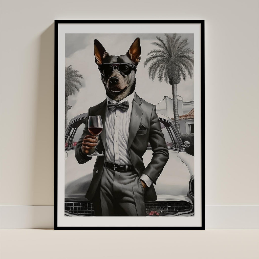 Kelpie The Distinguished Gentleman Dog Series image 0