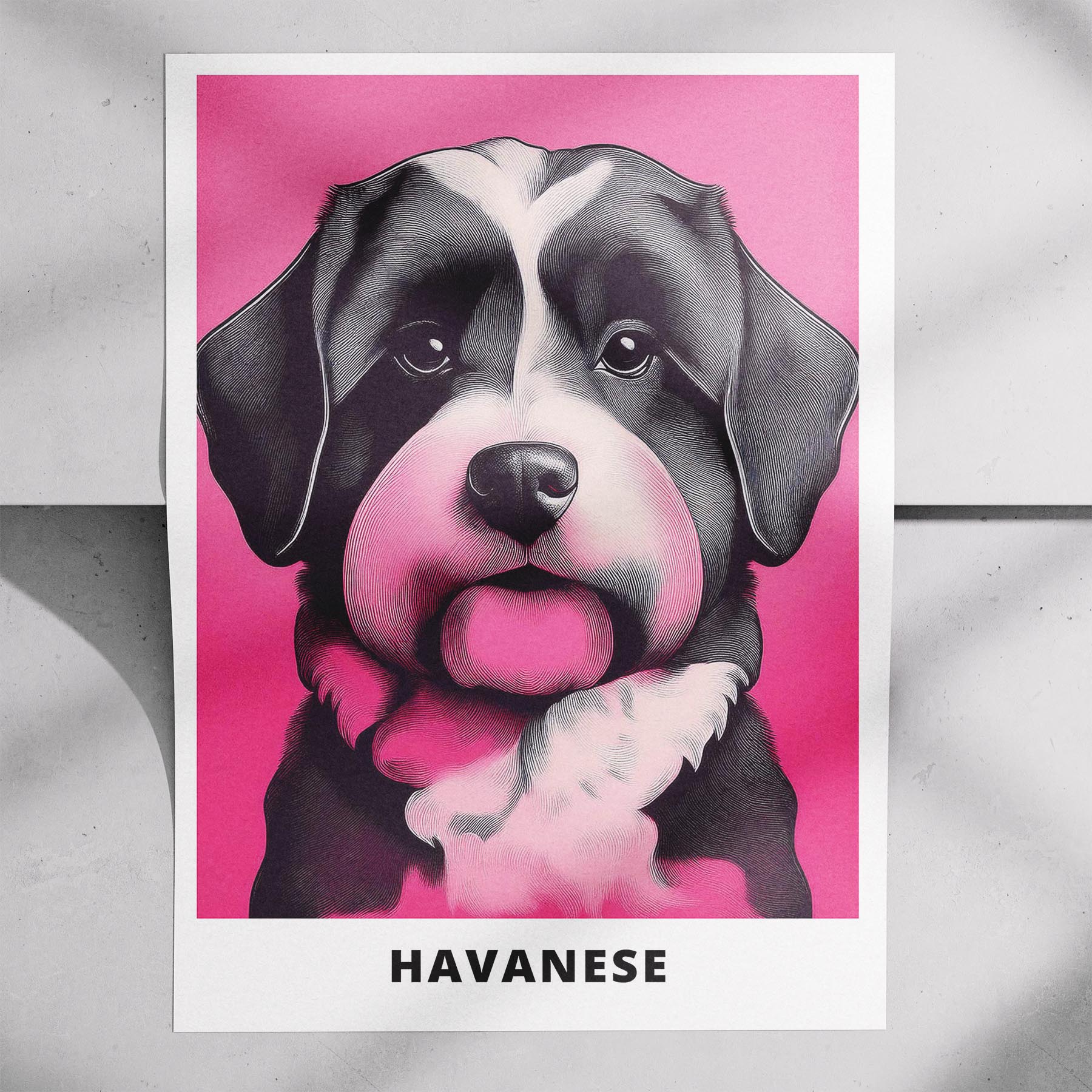 Havanese Pink and Black Dog Series 1 image 7