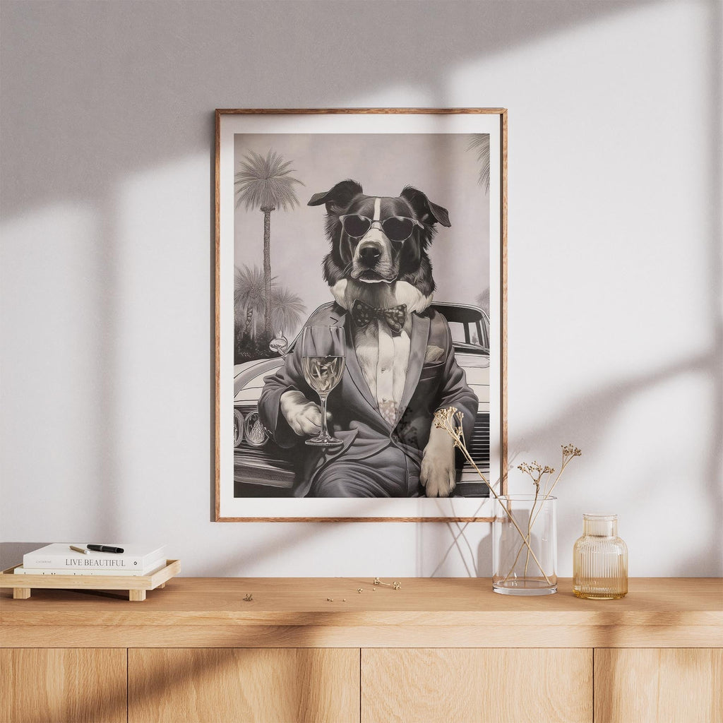 Border Collie The Distinguished Gentleman Dog Series image 8