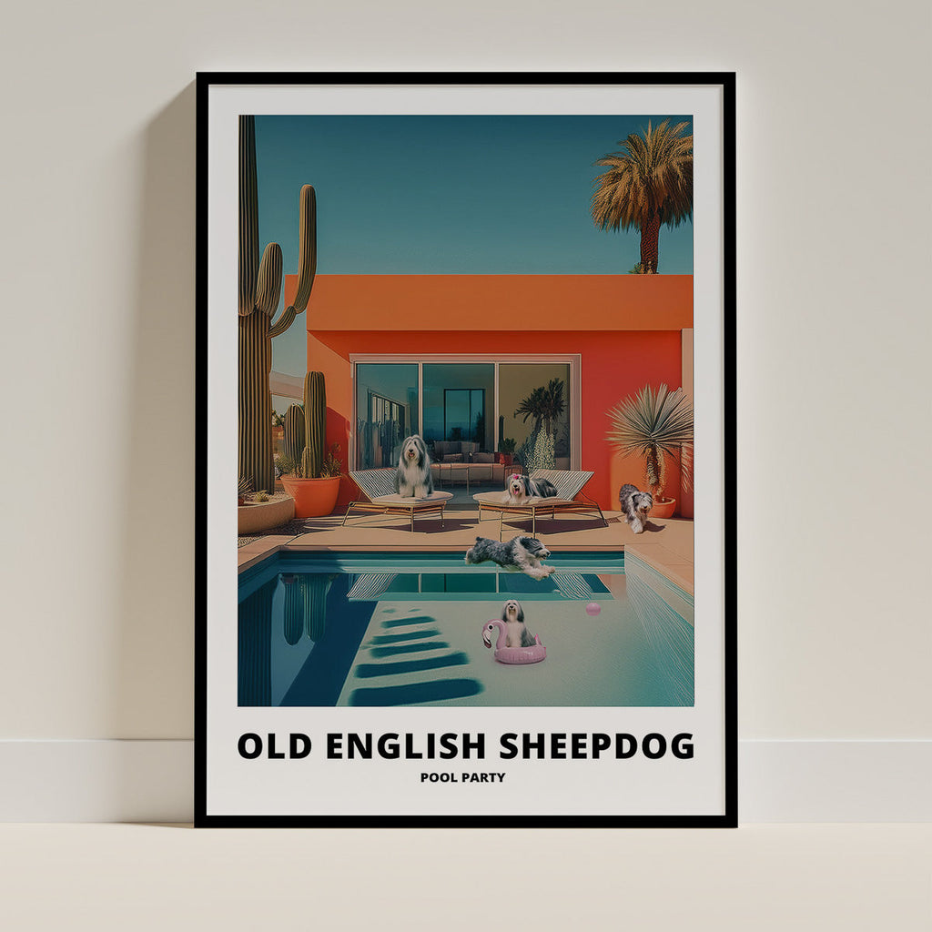 Old English Sheepdog Pool Party image 0