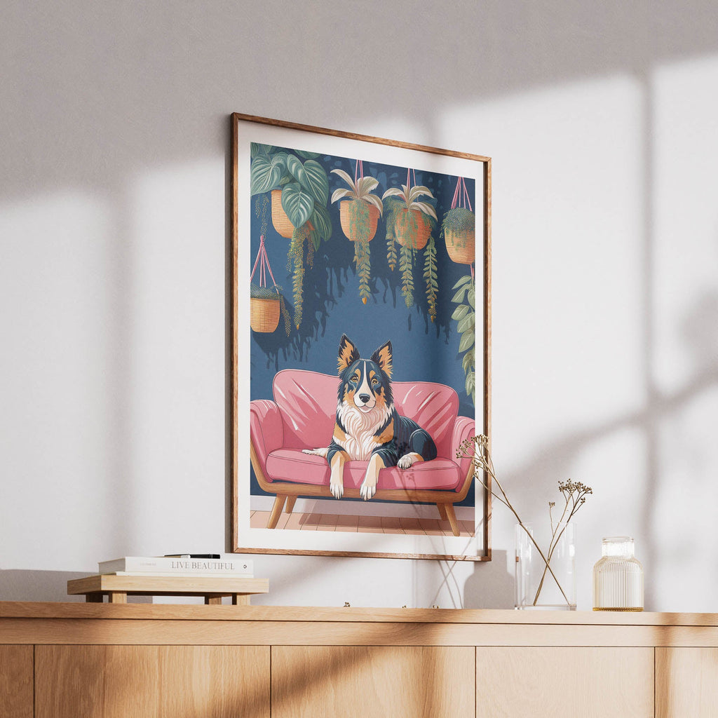 Border Collie  Just Lounging Around image 6