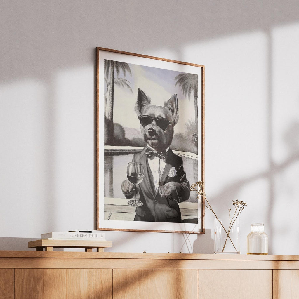 Australian Terrier The Distinguished Gentleman Dog Series image 5