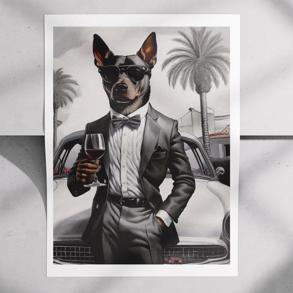 Kelpie The Distinguished Gentleman Dog Series image 7