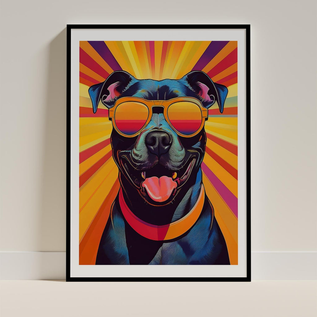 Dog In Colourful Sunnies 14 image 11