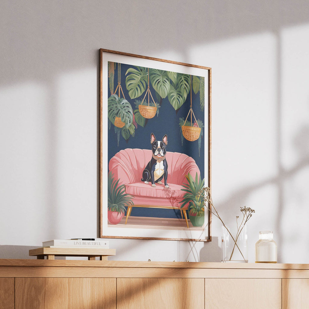 Boston Terrier Just Lounging Around 1 image 6