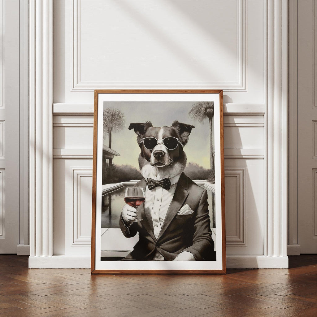 Border Collie The Distinguished Gentleman Dog Series image 4