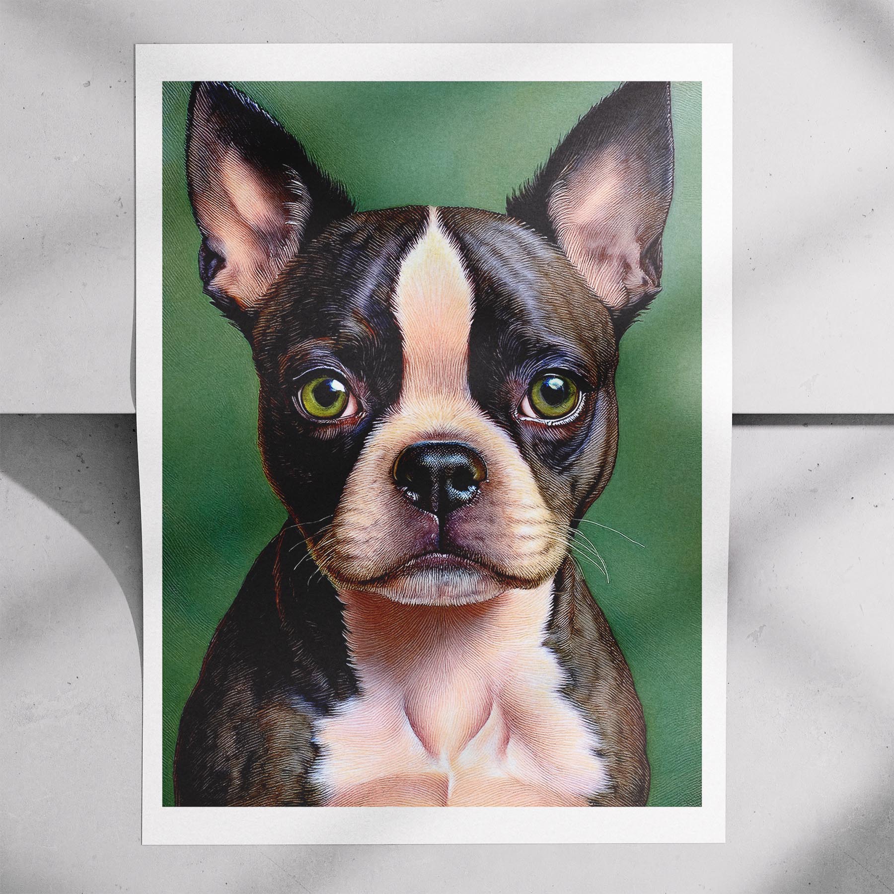 Boston Terrier Green Painted Series image 7