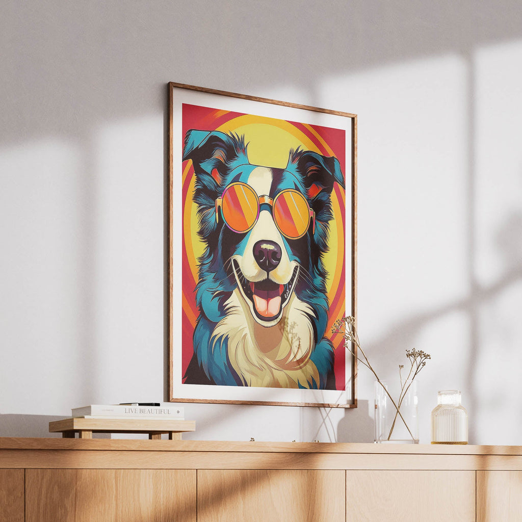 Border Collie In Colourful Sunnies 1 image 6